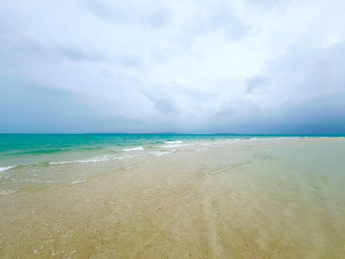夏の海